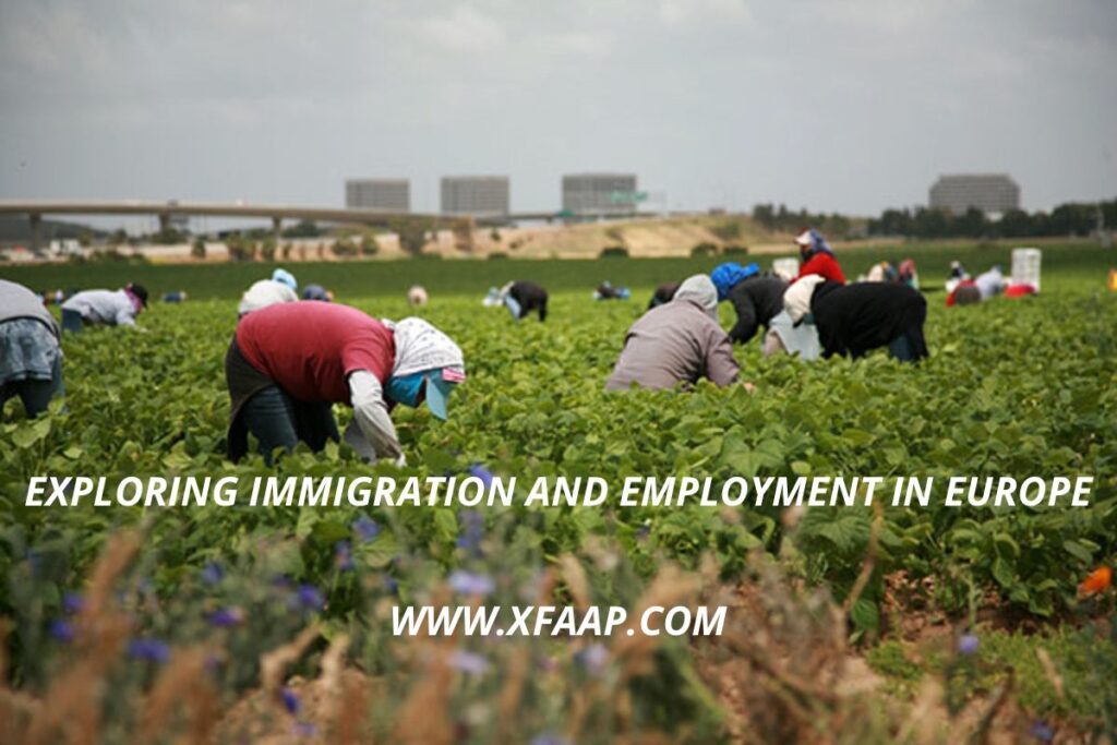 Immigration and work in Europe