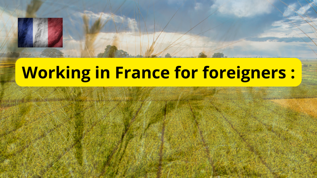 Working in France for foreigners