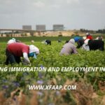 Immigration and work in Europe