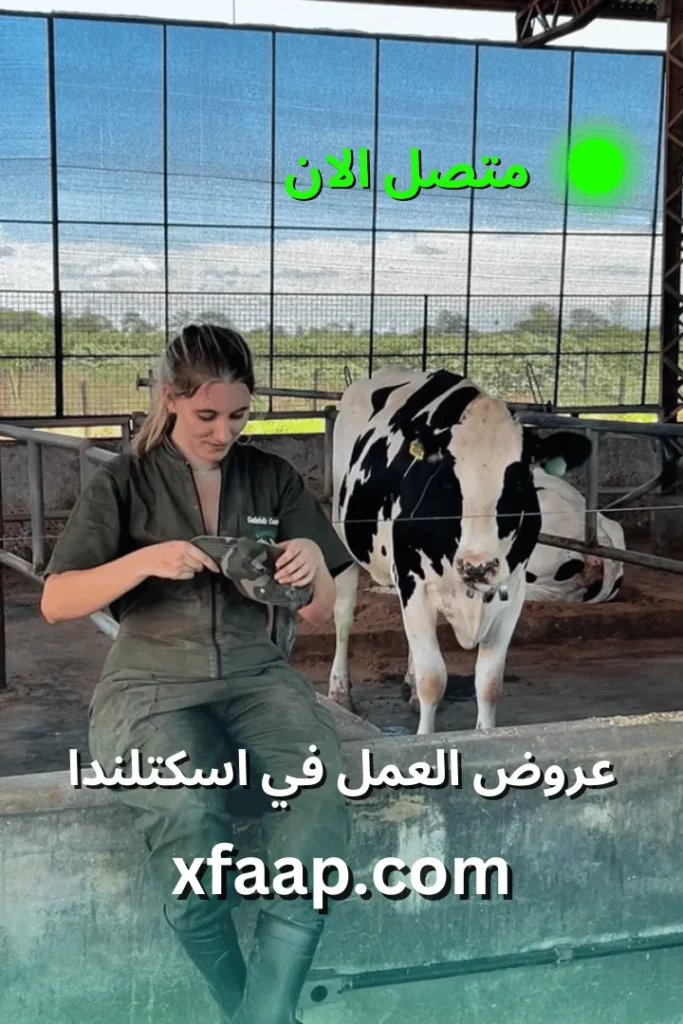 عروض العمل في اسكتلندا